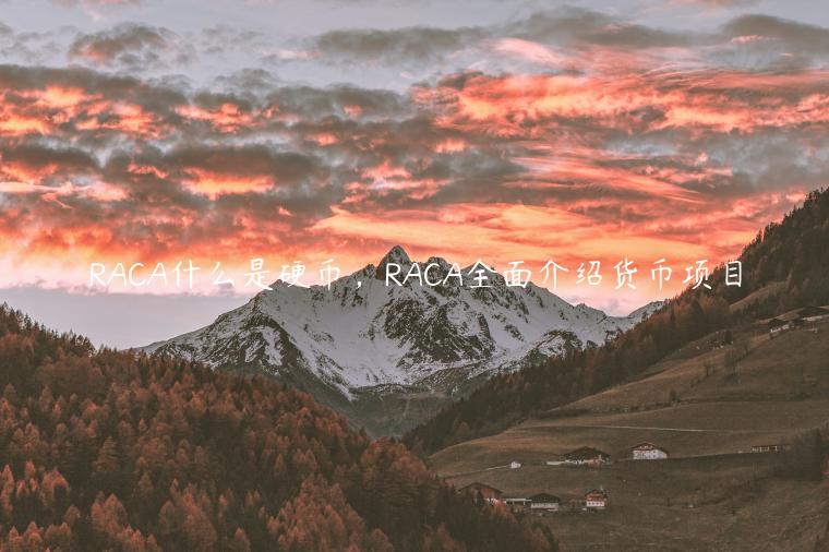 RACA什么是硬币，RACA全面介绍货币项目-第1张图片-binance下载