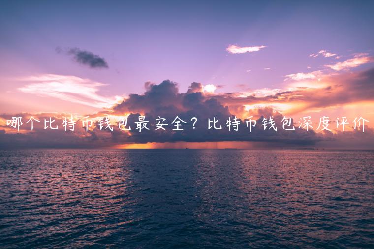 哪个比特币钱包最安全？比特币钱包深度评价-第1张图片-binance下载