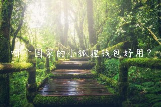 哪个国家的小狐狸钱包好用？