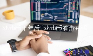 shib币有未来吗