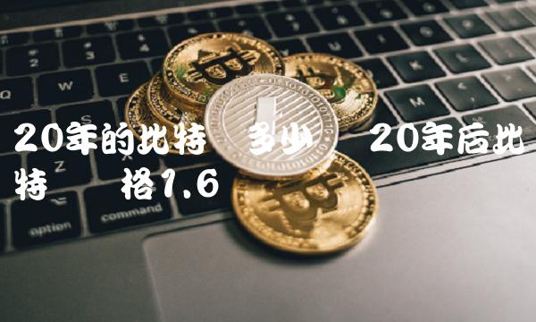 20年后比特币价格1.6亿-第1张图片-binance下载