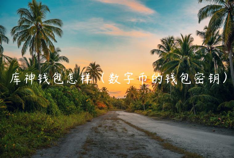 库神钱包怎样（数字币的钱包密钥）-第1张图片-binance下载