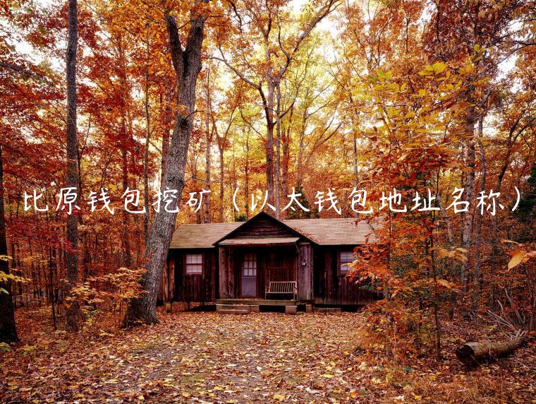 比原钱包挖矿（以太钱包地址名称）-第1张图片-binance下载