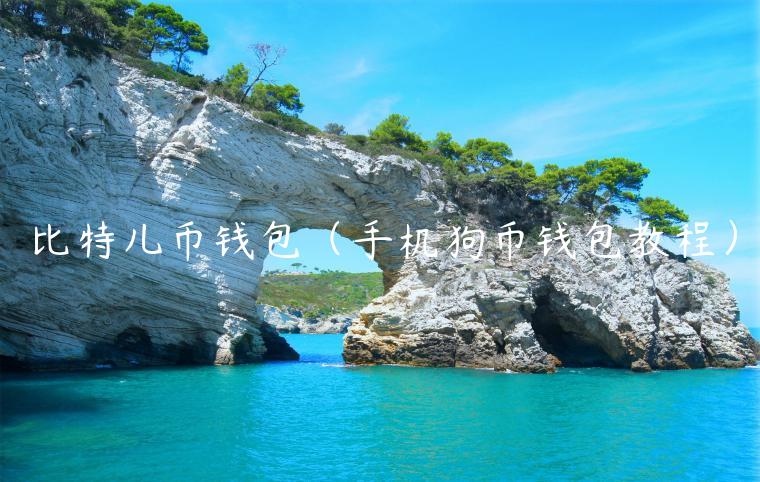 比特儿币钱包（手机狗币钱包教程）-第1张图片-binance下载