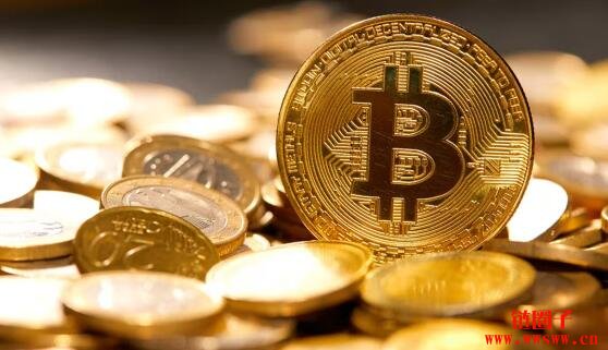 狗币钱包中文（狗狗币钱包iOS）-第5张图片-binance下载