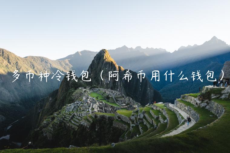 多币种冷钱包（阿希币用什么钱包）-第1张图片-binance下载