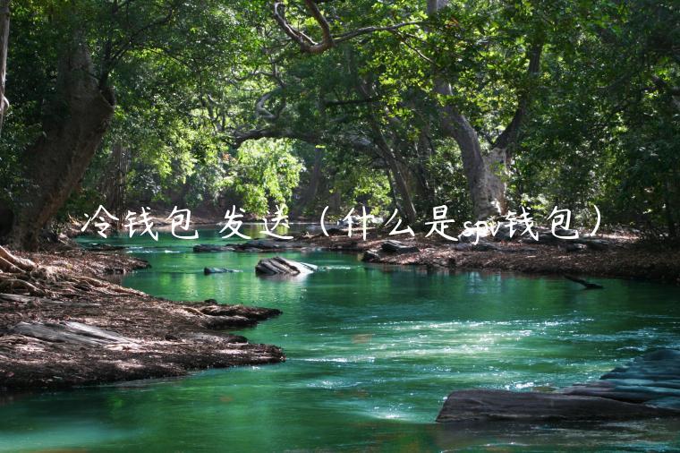 冷钱包 发送（什么是spv钱包）-第1张图片-binance下载