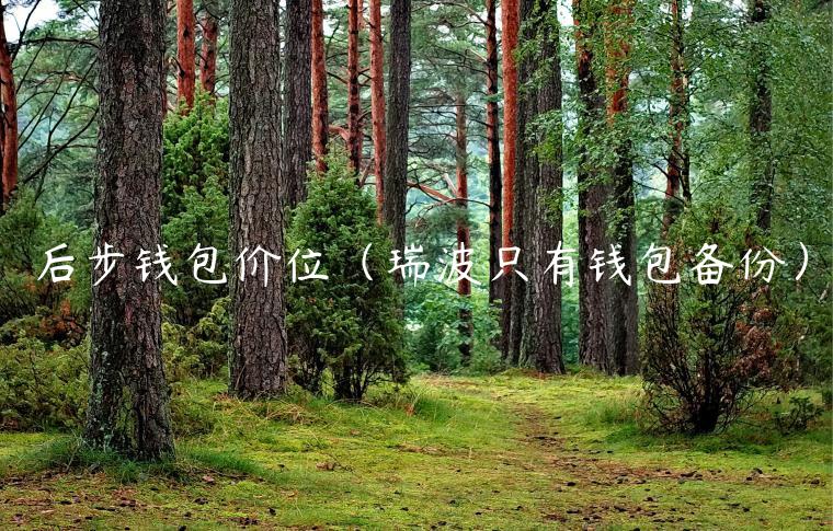 后步钱包价位（瑞波只有钱包备份）-第1张图片-binance下载