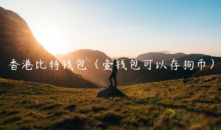 香港比特钱包（壹钱包可以存狗币）-第1张图片-binance下载