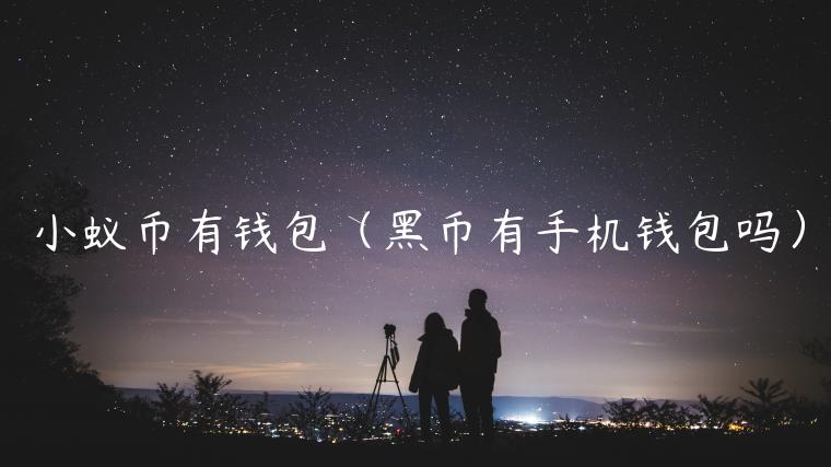 小蚁币有钱包（黑币有手机钱包吗）-第1张图片-binance下载