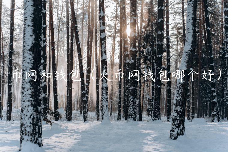 币网和钱包（火币网钱包哪个好）-第1张图片-binance下载