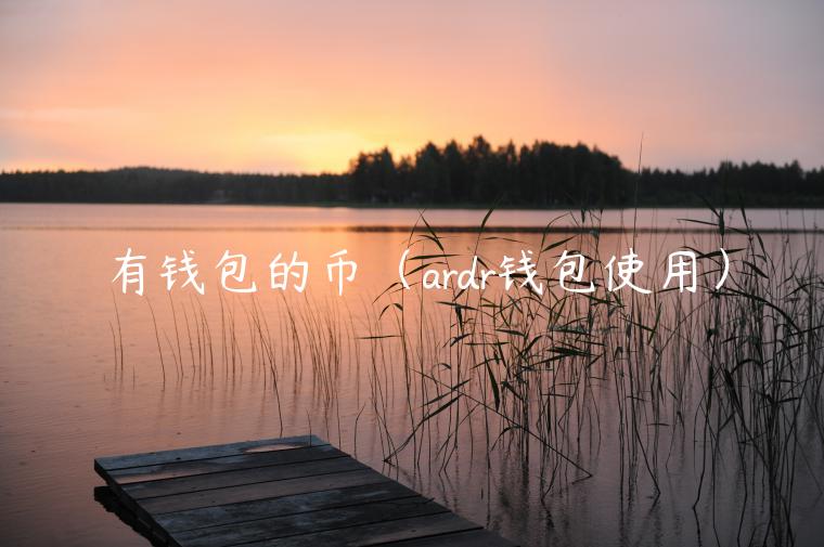 有钱包的币（ardr钱包使用）-第1张图片-binance下载