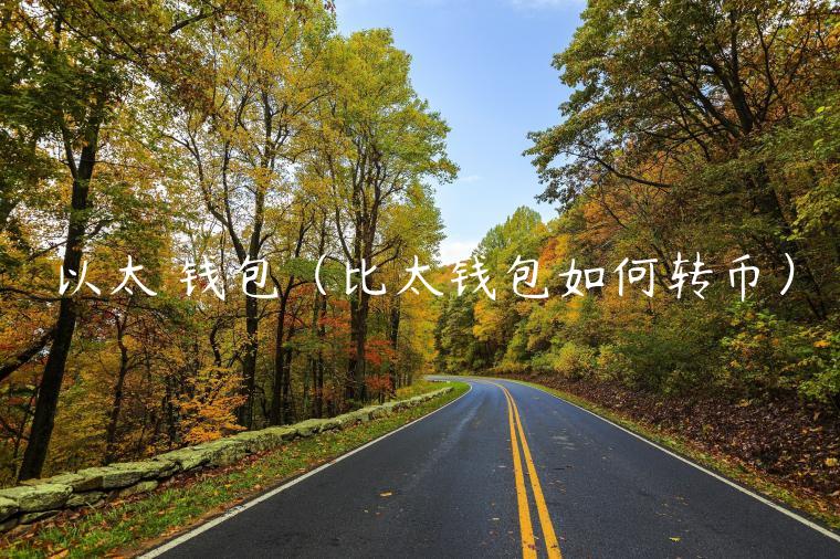以太 钱包（比太钱包如何转币）-第1张图片-binance下载