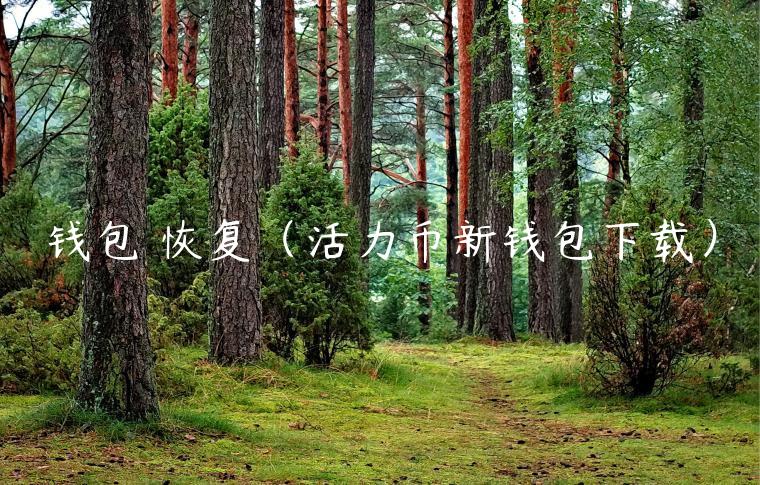 钱包 恢复（活力币新钱包下载）-第1张图片-binance下载
