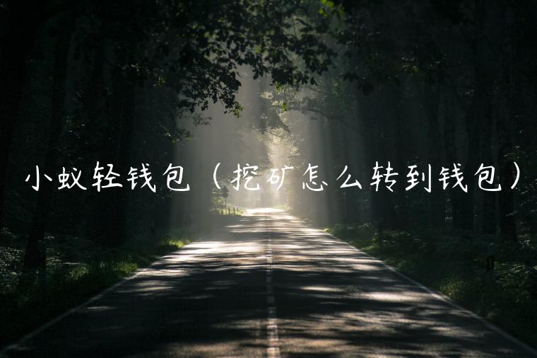 小蚁轻钱包（挖矿怎么转到钱包）-第1张图片-binance下载