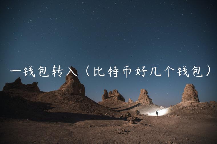 一钱包转入（比特币好几个钱包）-第1张图片-binance下载