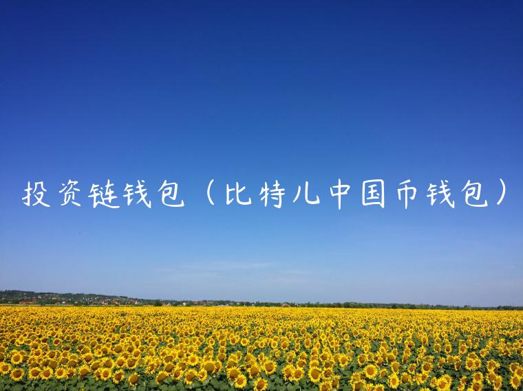 投资链钱包（比特儿中国币钱包）-第1张图片-binance下载