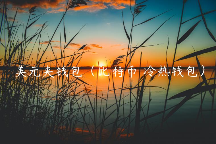 美元夹钱包（比特币 冷热钱包）-第1张图片-binance下载