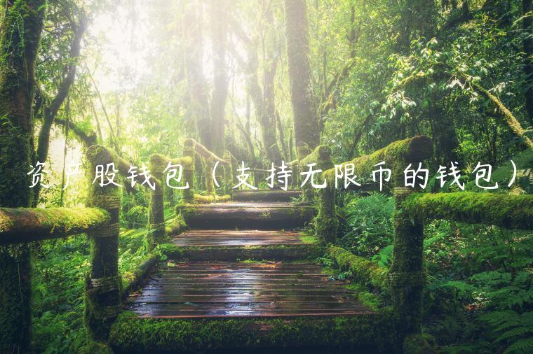 资产股钱包（支持无限币的钱包）-第1张图片-binance下载