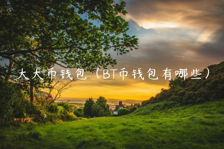 大大币钱包（BT币钱包有哪些）-第1张图片-binance下载