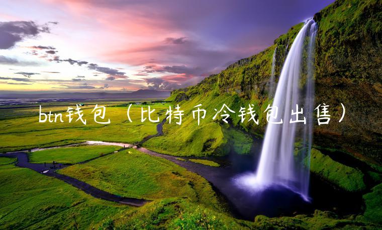 btn钱包（比特币冷钱包出售）-第1张图片-binance下载