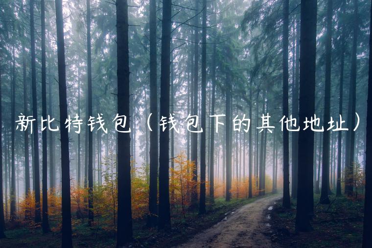 新比特钱包（钱包下的其他地址）-第1张图片-binance下载