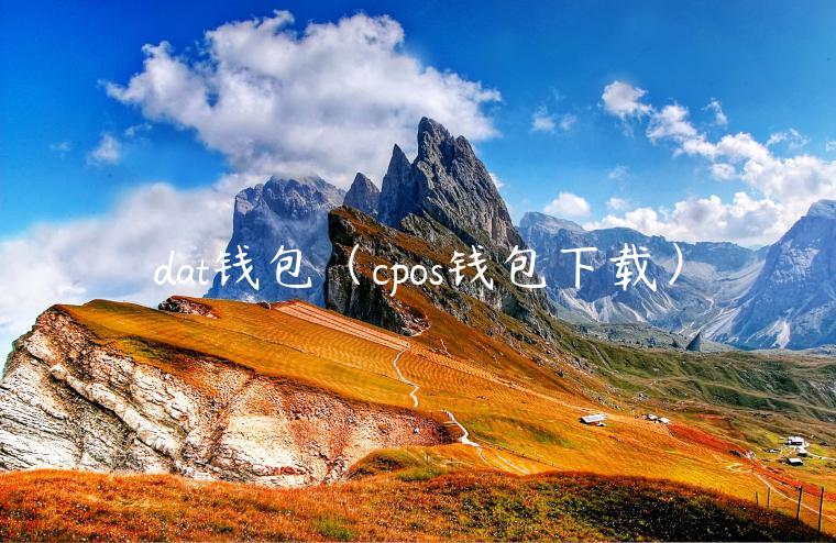 dat钱包（cpos钱包下载）-第1张图片-binance下载
