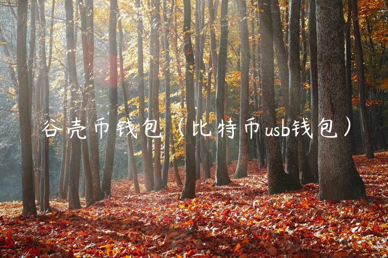 谷壳币钱包（比特币usb钱包）-第1张图片-binance下载