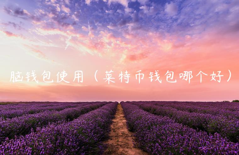 脑钱包使用（莱特币钱包哪个好）-第1张图片-binance下载