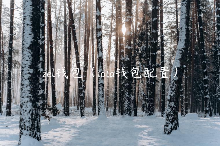 zl钱包（iota钱包配置）-第1张图片-binance下载