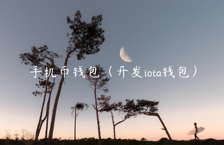手机币钱包（开发iota钱包）-第1张图片-binance下载