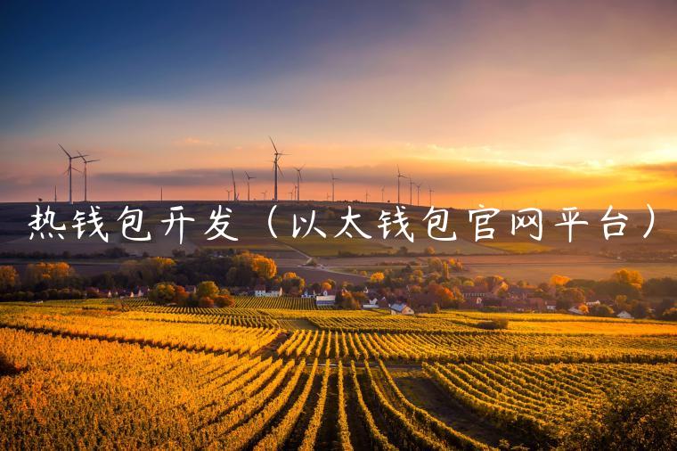 热钱包开发（以太钱包官网平台）-第1张图片-binance下载