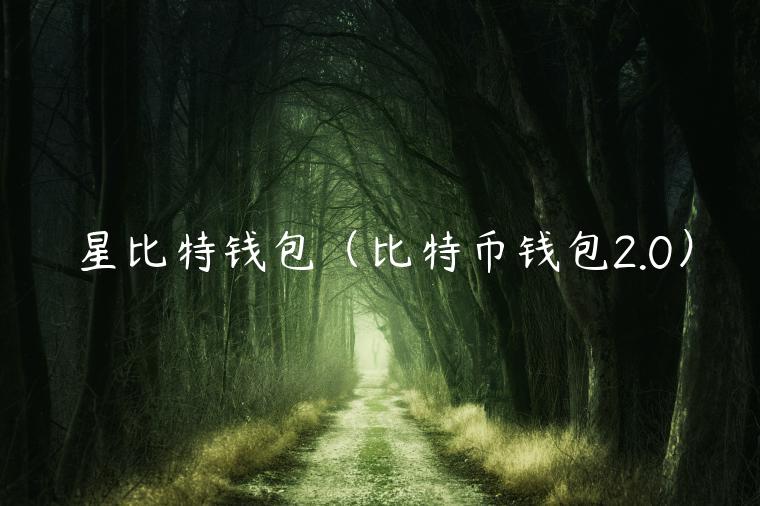 星比特钱包（比特币钱包2.0）-第1张图片-binance下载