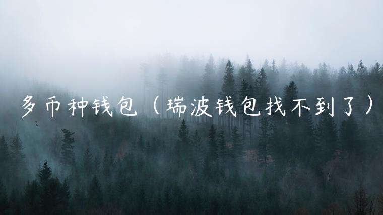 多币种钱包（瑞波钱包找不到了）-第1张图片-binance下载