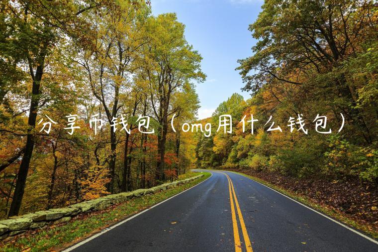 分享币钱包（omg用什么钱包）-第1张图片-binance下载