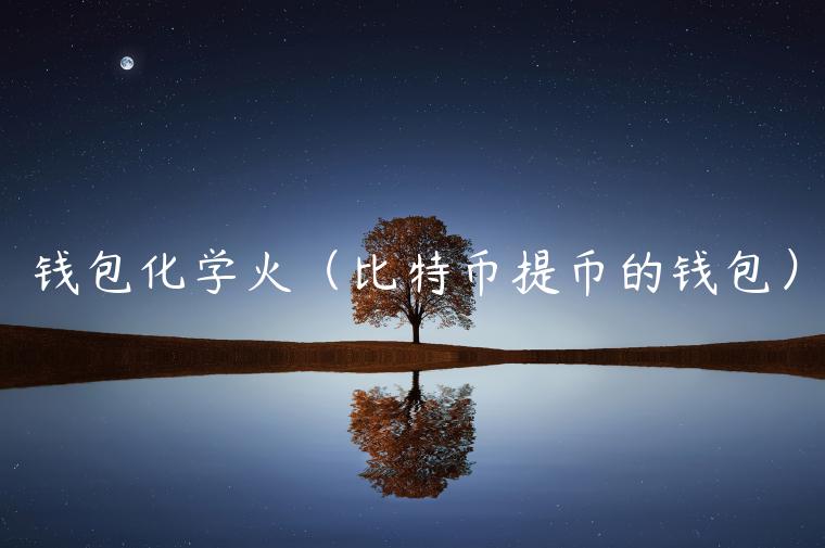 钱包化学火（比特币提币的钱包）-第1张图片-binance下载