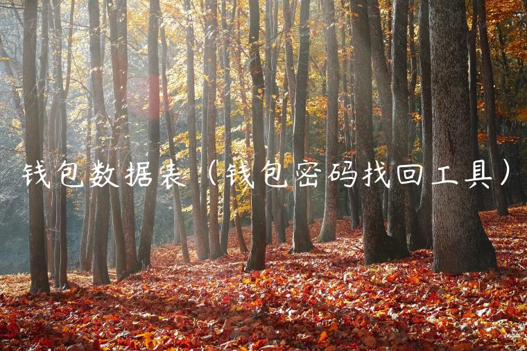 钱包数据表（钱包密码找回工具）-第1张图片-binance下载