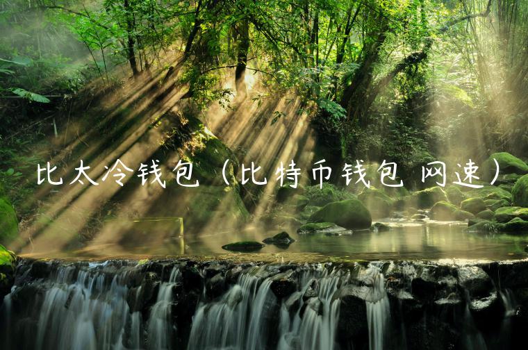 比太冷钱包（比特币钱包 网速）-第1张图片-binance下载