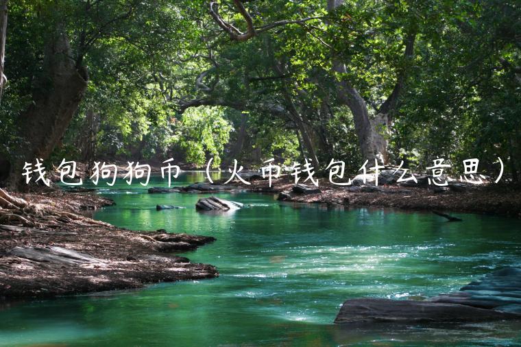 钱包狗狗币（火币钱包什么意思）-第1张图片-binance下载