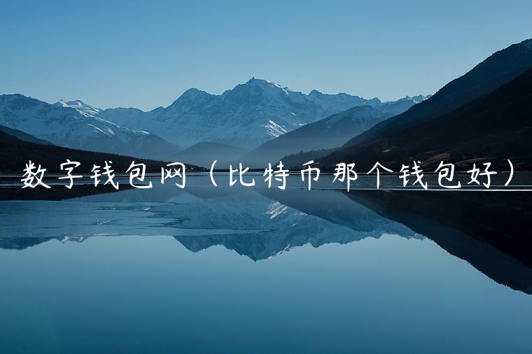 数字钱包网（比特币那个钱包好）-第1张图片-binance下载