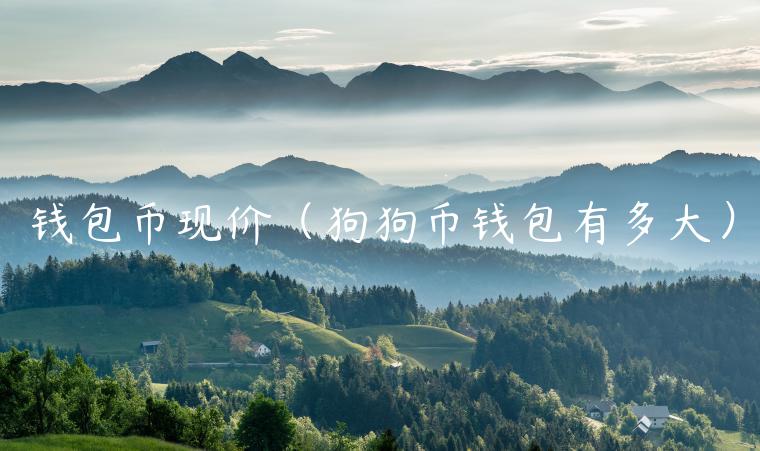 钱包币现价（狗狗币钱包有多大）-第1张图片-binance下载