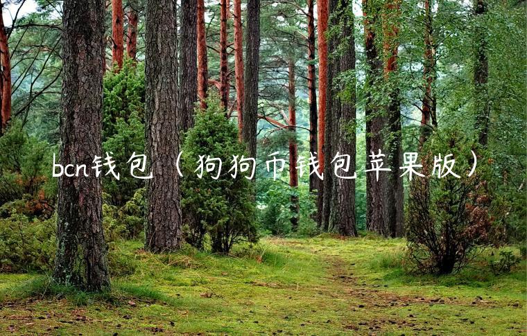 bcn钱包（狗狗币钱包苹果版）-第1张图片-binance下载