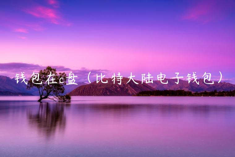 钱包在c盘（比特大陆电子钱包）-第1张图片-binance下载