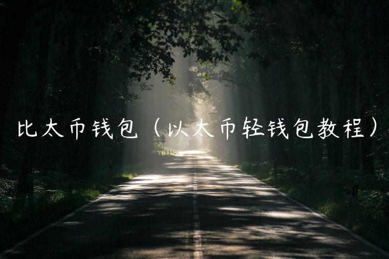 比太币钱包（以太币轻钱包教程）-第1张图片-binance下载