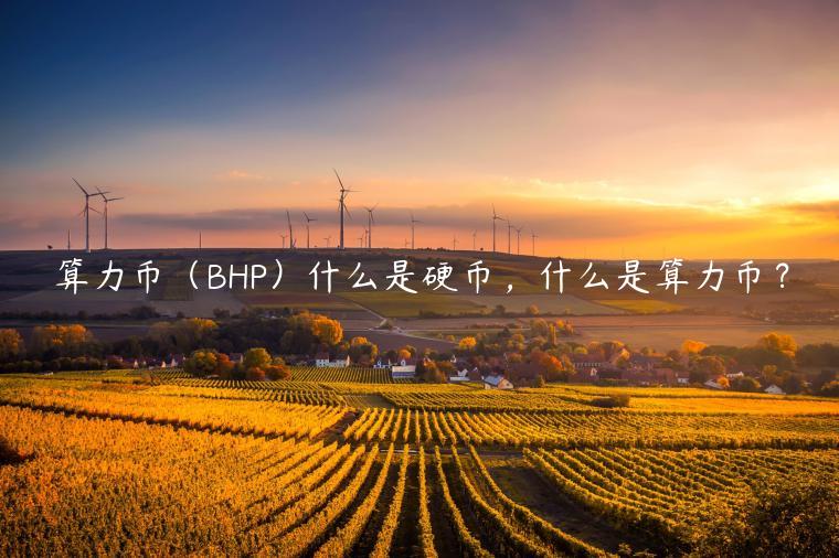 算力币（BHP）什么是硬币，什么是算力币？-第1张图片-binance下载