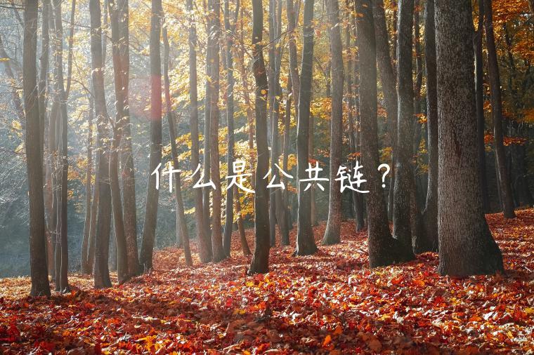 什么是公共链？-第1张图片-binance下载