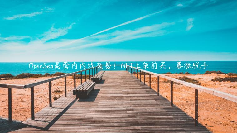 OpnSa高管内内线交易！NFT上架前买，暴涨脱手-第1张图片-binance下载