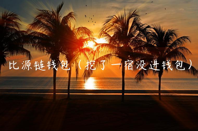 比源链钱包（挖了一宿没进钱包）-第1张图片-binance下载