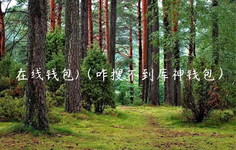 在线钱包（咋搜不到库神钱包）-第1张图片-binance下载