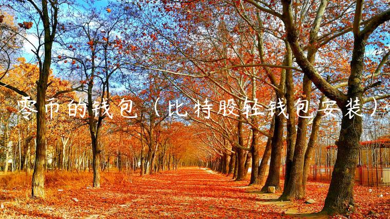 零币的钱包（比特股轻钱包安装）-第1张图片-binance下载